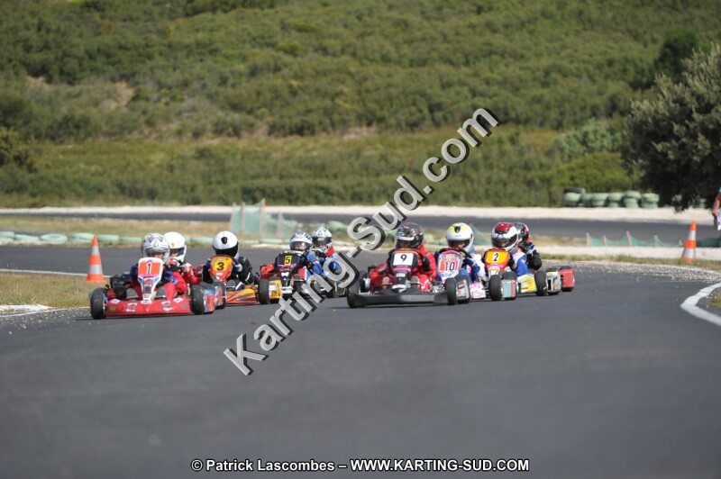 DSC (3745).JPG